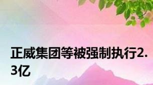 正威集团等被强制执行2.3亿