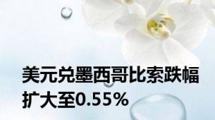 美元兑墨西哥比索跌幅扩大至0.55%