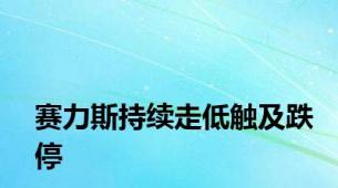 赛力斯持续走低触及跌停