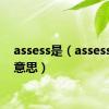 assess是（assess什么意思）