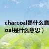 charcoal是什么意思（coal是什么意思）