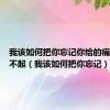 我该如何把你忘记你给的痛我承受不起（我该如何把你忘记）