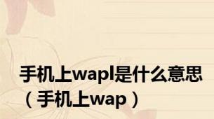 手机上wapl是什么意思（手机上wap）