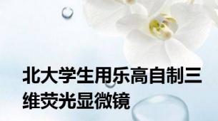 北大学生用乐高自制三维荧光显微镜