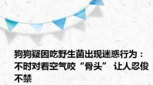 狗狗疑因吃野生菌出现迷惑行为：不时对着空气咬“骨头” 让人忍俊不禁