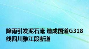 降雨引发泥石流 造成国道G318线四川雅江段断道