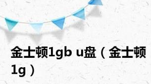 金士顿1gb u盘（金士顿1g）