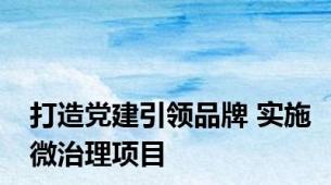 打造党建引领品牌 实施微治理项目