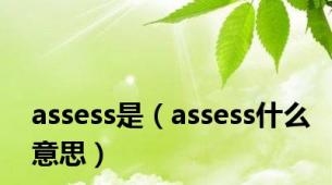 assess是（assess什么意思）