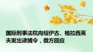 国际刑事法院向绍伊古、格拉西莫夫发出逮捕令，俄方回应