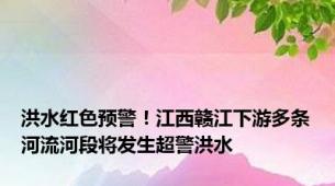 洪水红色预警！江西赣江下游多条河流河段将发生超警洪水