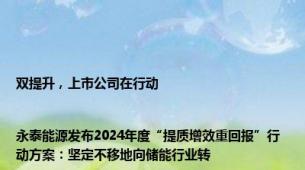 双提升，上市公司在行动|永泰能源发布2024年度“提质增效重回报”行动方案：坚定不移地向储能行业转