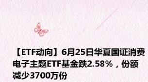 【ETF动向】6月25日华夏国证消费电子主题ETF基金跌2.58%，份额减少3700万份