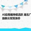 AI应用端持续活跃 湖北广电、华扬联众双双涨停