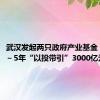 武汉发起两只政府产业基金，力争3～5年“以投带引”3000亿元