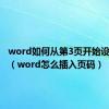 word如何从第3页开始设置页码（word怎么插入页码）