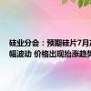 硅业分会：预期硅片7月产量小幅波动 价格出现抬涨趋势