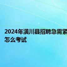 2024年潢川县招聘急需紧缺人才怎么考试