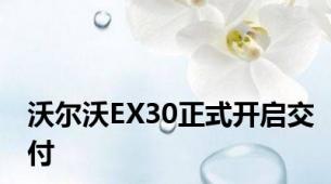 沃尔沃EX30正式开启交付