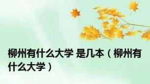 柳州有什么大学 是几本（柳州有什么大学）