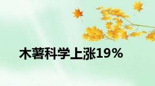 木薯科学上涨19%