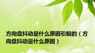 方向盘抖动是什么原因引起的（方向盘抖动是什么原因）