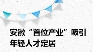 安徽“首位产业”吸引年轻人才定居