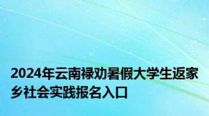 2024年云南禄劝暑假大学生返家乡社会实践报名入口