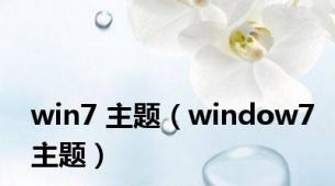 win7 主题（window7主题）