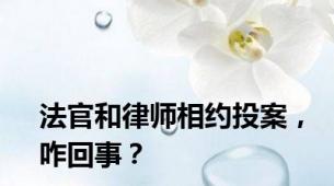 法官和律师相约投案，咋回事？