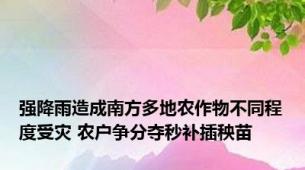 强降雨造成南方多地农作物不同程度受灾 农户争分夺秒补插秧苗