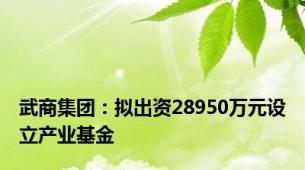 武商集团：拟出资28950万元设立产业基金