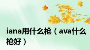 iana用什么枪（ava什么枪好）