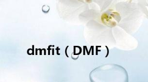 dmfit（DMF）