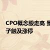 CPO概念股走高 景旺电子触及涨停