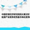 中国宏观经济研究院院长黄汉权：中国新能源产业竞争优势是市场化竞争的结果