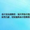 会计法完成修改：加大对会计违法行为的处罚力度，切实提高会计信息质量