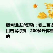 顾客饭店追野猪：我二百多斤怕它  目击者称赞：200多斤体重不是盖的