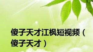 傻子天才江枫短视频（傻子天才）