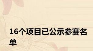 16个项目已公示参赛名单