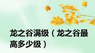 龙之谷满级（龙之谷最高多少级）