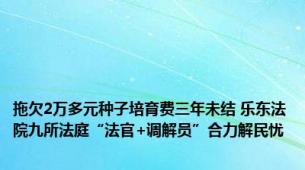 拖欠2万多元种子培育费三年未结 乐东法院九所法庭“法官+调解员”合力解民忧