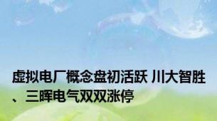 虚拟电厂概念盘初活跃 川大智胜、三晖电气双双涨停