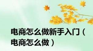 电商怎么做新手入门（电商怎么做）