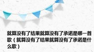 就算没有了结果就算没有了承诺是哪一首歌（就算没有了结果就算没有了承诺是什么歌）