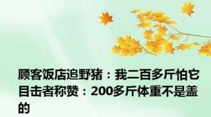 顾客饭店追野猪：我二百多斤怕它  目击者称赞：200多斤体重不是盖的