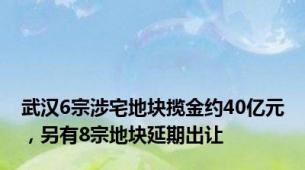 武汉6宗涉宅地块揽金约40亿元，另有8宗地块延期出让