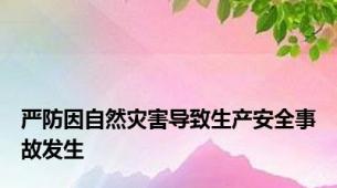 严防因自然灾害导致生产安全事故发生