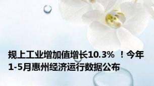 规上工业增加值增长10.3% ！今年1-5月惠州经济运行数据公布