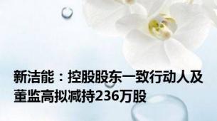 新洁能：控股股东一致行动人及董监高拟减持236万股